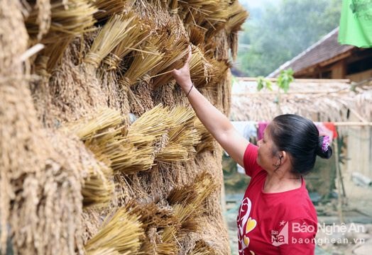 Độc đáo giàn phơi lúa rẫy của đồng bào vùng cao