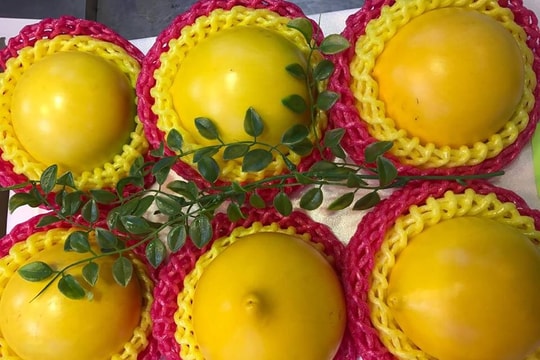 Các bà nội trợ Việt 'phát sốt' với vú sữa xứ Đài 350 ngàn đồng/quả