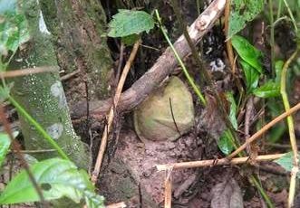 Bom mìn sau chiến tranh gieo rắc bất an cho người dân vùng biên