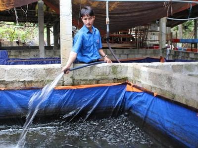 Hỗ trợ các 'hot boy nông dân' lập nghiệp ở Quỳnh Thắng