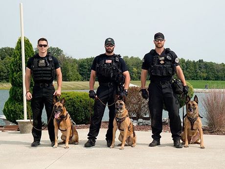 Bí mật loài chó nghiệp vụ tinh nhuệ của mật vụ Mỹ