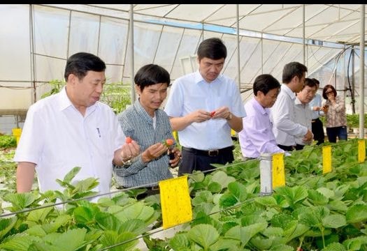 Doanh nghiệp, địa phương tâm tư về phát triển nông nghiệp công nghệ cao