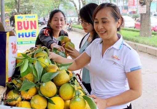 Cam Vinh dán tem truy xuất nguồn gốc đắt hàng