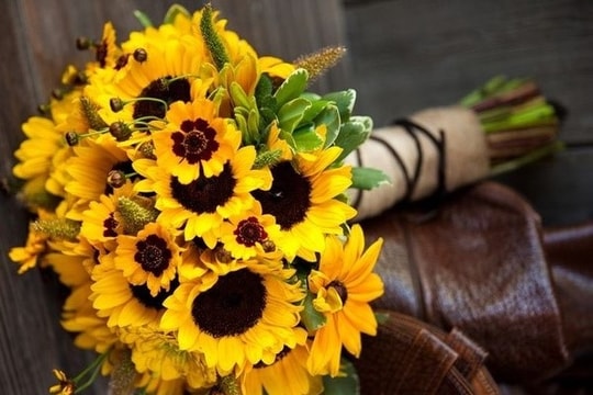 6 loài hoa thay lời tri ân dành tặng thầy cô