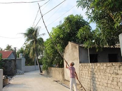 Dân dùng tre khô, ván gỗ chống dây điện trần sa xuống đường