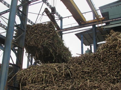 Công ty cổ phần Mía đường Sông Con vào vụ ép mới