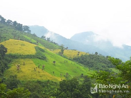100% điểm tranh chấp địa giới hành chính cấp huyện ở Nghệ An được giải quyết