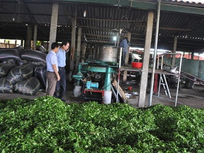 Hình thành chuỗi liên kết trong phát triển nông nghiệp công nghệ cao