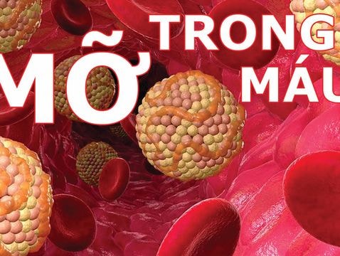 Dấu hiệu cho thấy nguy cơ bị máu nhiễm mỡ cao