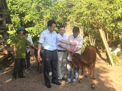 Trao bò sinh sản trị giá 24 triệu đồng cho hộ nghèo