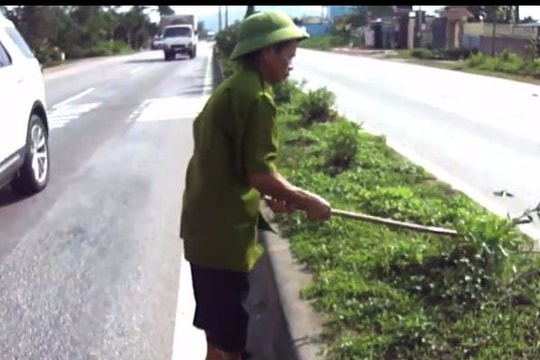 Xác định một đối tượng tình nghi chặt phá trúc anh đào trên QL 1A