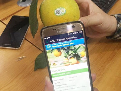 Nhiều nông sản ở Nghệ An"đòi" tem !