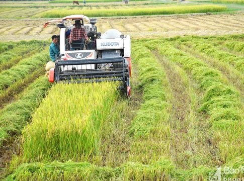 Đô Lương phấn đấu thêm 6 xã về đích nông thôn mới