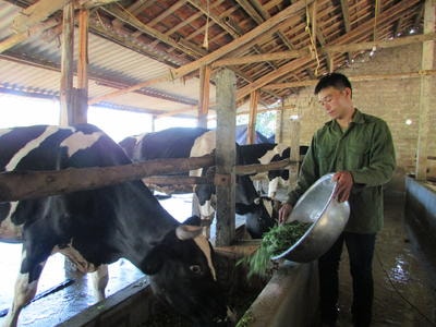 Những người trẻ biến đất nghèo thành lợi thế