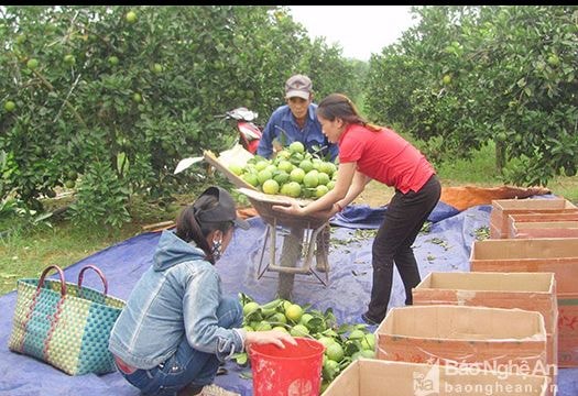 Thẩm định công nhận 2 xã đạt chuẩn NTM ở Nghĩa Đàn