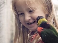 Trường mẫu giáo Mỹ cho trẻ đến sở thú mỗi ngày