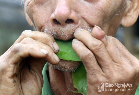 Xem người Mông hái lá cây làm nhạc cụ