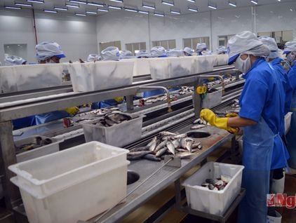 Nghệ An hút 47 nghìn tỷ đồng đầu tư vào nông, lâm nghiệp và chế biến