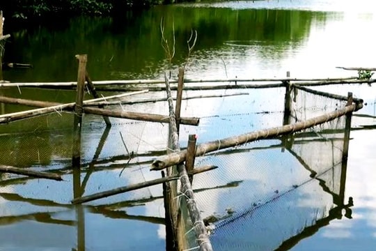 Độc chiêu bắt cá 'khủng' trên sông