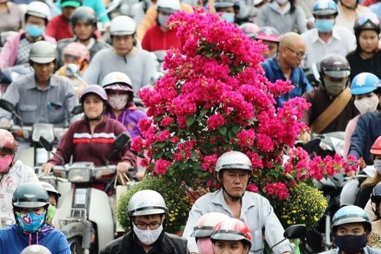 Bỏ lệ chúc tết lãnh đạo: Khi Thủ tướng và thành viên Chính phủ làm gương