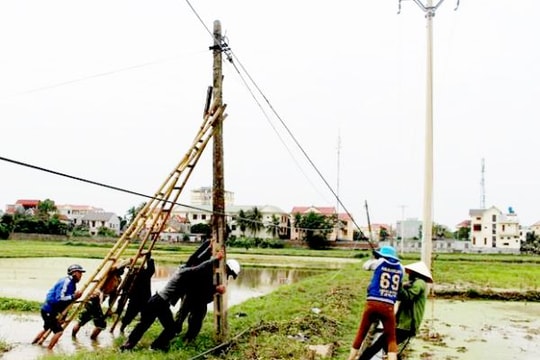 'Giải phóng' cáp viễn thông giăng trước cổng nhà, đồng ruộng