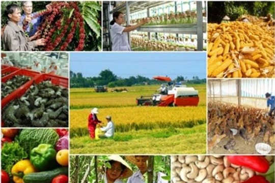 Chỉ đạo, điều hành nổi bật tuần qua của Chính phủ, Thủ tướng