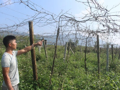 Trăn trở với Pịch Niệng