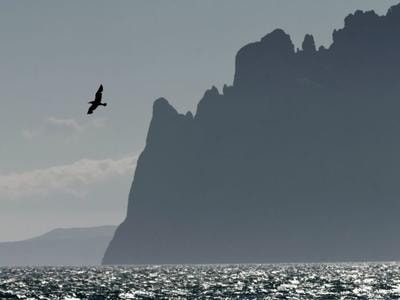Crimea chuẩn bị khởi kiện vì bị áp đặt lệnh trừng phạt