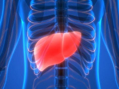 Gan nhiễm mỡ sẽ làm bộ não co lại?