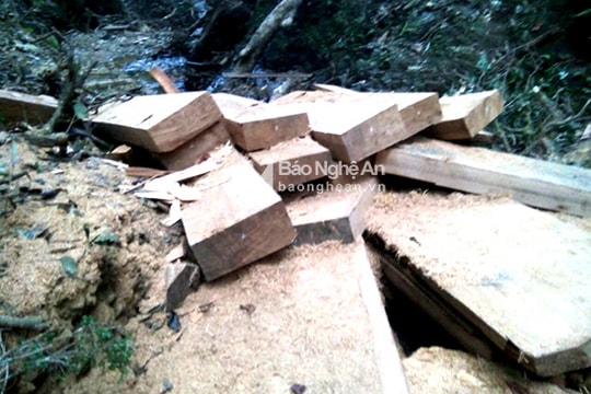 Phát hiện hơn 20 phiến gỗ 'vô chủ' ở Kỳ Sơn