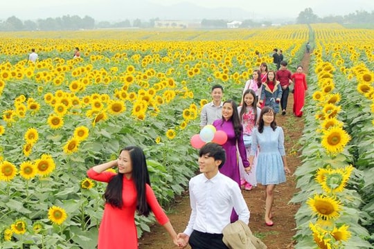 5 năm, du lịch Nghệ An đạt doanh thu 12.130 tỷ đồng