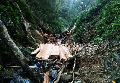 Hơn 20 phiến gỗ 'vô chủ' nằm cách chốt biên phòng chỉ…200m