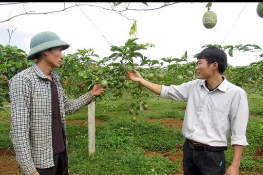 Nghệ An: 11 tháng ước đạt trên 271 triệu USD kim ngạch xuất khẩu nông lâm thủy sản Nghệ An đạt