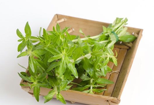 9 loại rau, củ mùa Đông hỗ trợ chữa ho, long đờm hiệu quả