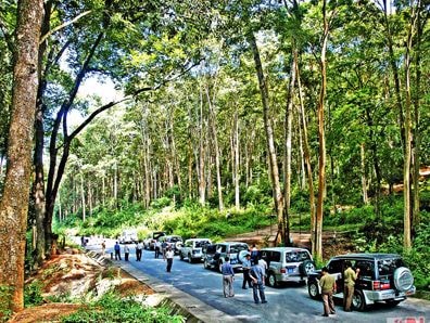 Định hướng hoạt động mạng lưới khu dự trữ sinh quyển thế giới tại Việt Nam