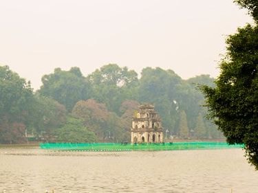 Có nên thả rùa xuống hồ Gươm?