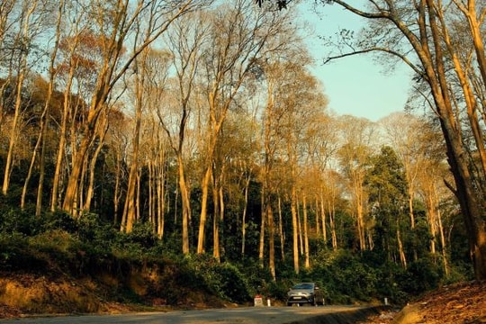 Xây dựng Bảo tàng Thiên nhiên – văn hóa vì sinh kế người dân