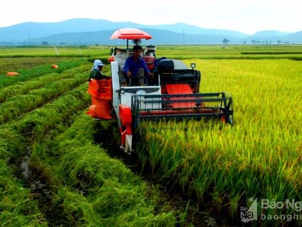 Tránh 'vỡ trận' trong thực hiện chính sách hỗ trợ nông nghiệp