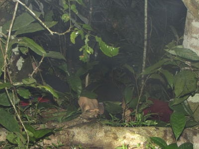 Nữ sinh bị sát hại sau khi đi chơi với người yêu