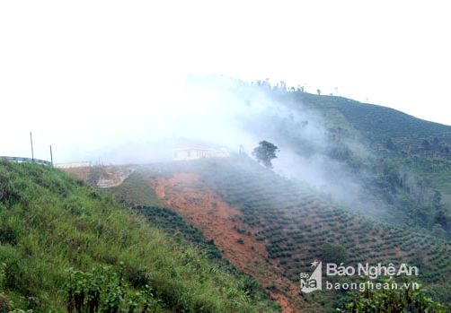 Vùng cao xứ Nghệ có khí hậu, phong cảnh giống Sapa