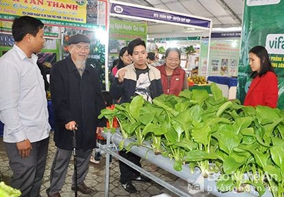 Nông sản từ làng nghề và các HTX 'hút khách' tại hội chợ công thương Bắc Trung bộ