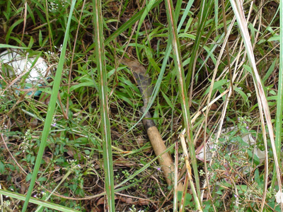 Chém nhau tại Cần Thơ vì chuyện cẩu xe tại BOT Cai Lậy