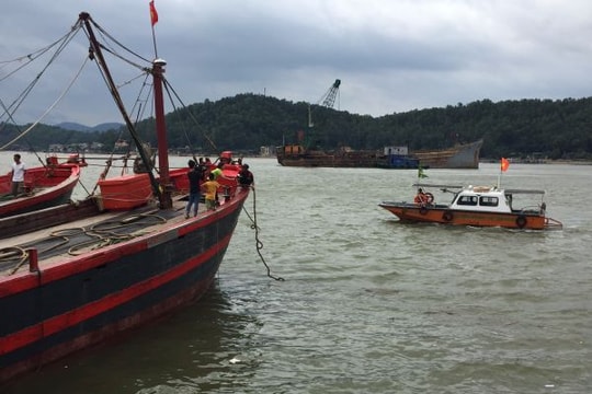 Nghệ An: Đang nỗ lực tìm kiếm một ngư dân mất tích trên biển