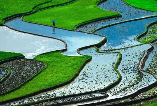 Việt Nam có cảnh quan thiên nhiên trong top đẹp nhất thế giới