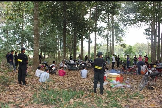 Triệt phá đường dây đánh bạc trong rừng với quy mô cực lớn