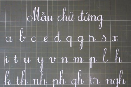 Phó Thủ tướng Vương Đình Huệ: Chính phủ không chủ trương đổi mới chữ viết