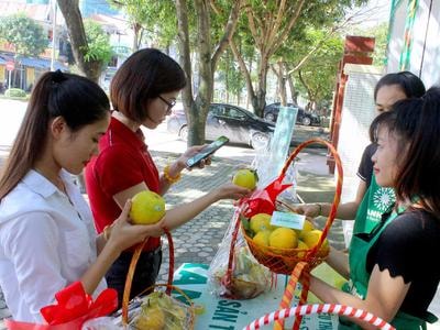 Loạn thị trường tem cam