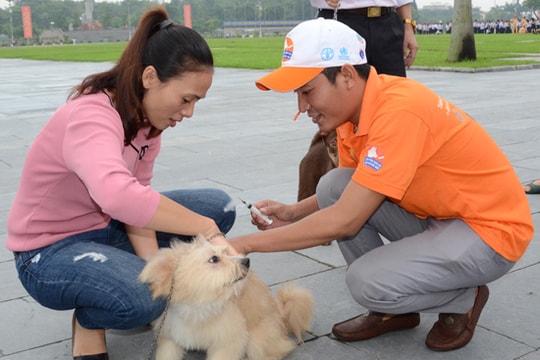 Nghệ An: Người dân nuôi chó phải đăng ký với UBND cấp xã