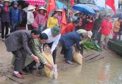 Thả 90.000 con cá giống tái tạo nguồn lợi thủy sản trên sông Giăng