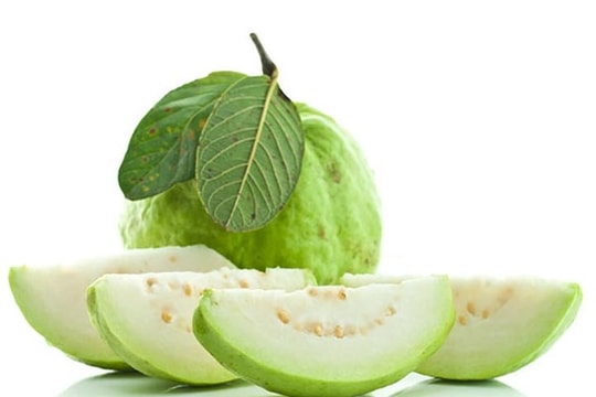 Uống trà lá ổi giúp tiêu đờm nhanh